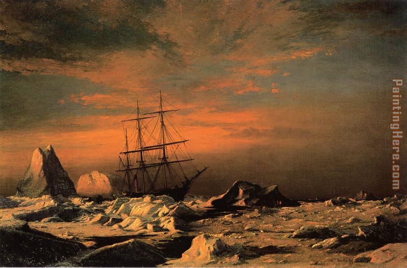 The 'Panther' Among the Icebergs in Melville Bay painting - William Bradford The 'Panther' Among the Icebergs in Melville Bay art painting